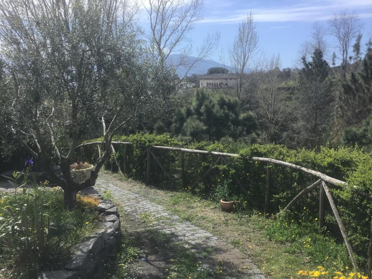 Tenuta Terradifuoco Terzigno Kültér fotó